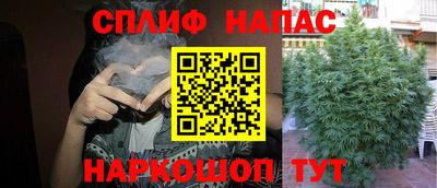 герыч Краснодар