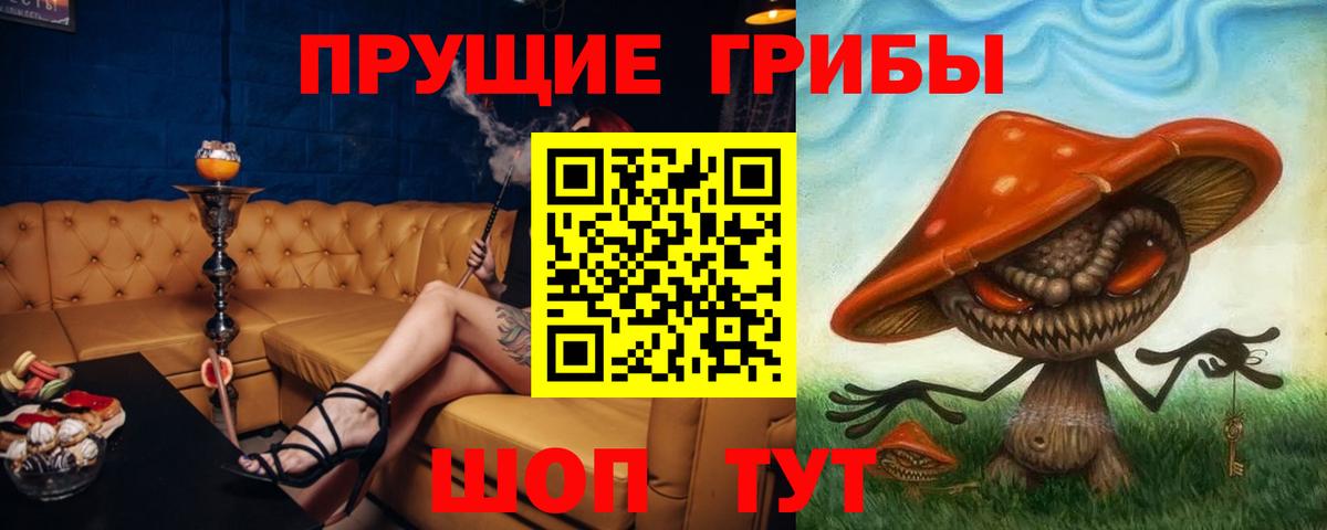 Галлюциногенные грибы Psilocybe  даркнет сайт  Ишимбай  Вход с VPN  Псилоцибиновые грибы GOLDEN TEACHER 
